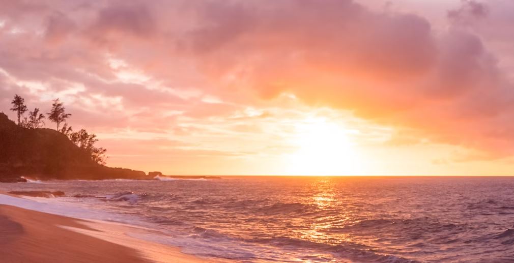 Cara Menemukan Mitra Bisnis yang Tepat di Indonesia